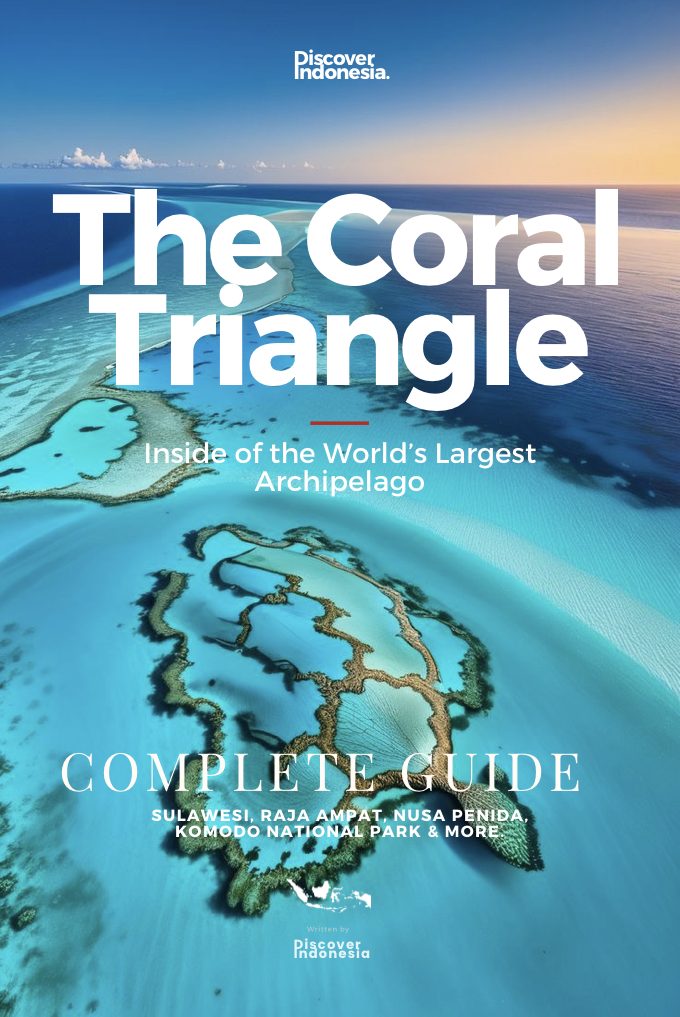 The Coral Triangle cover