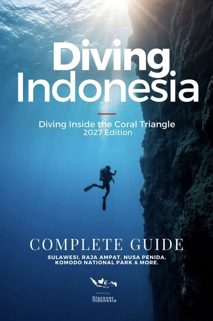Diving Indonesia cover